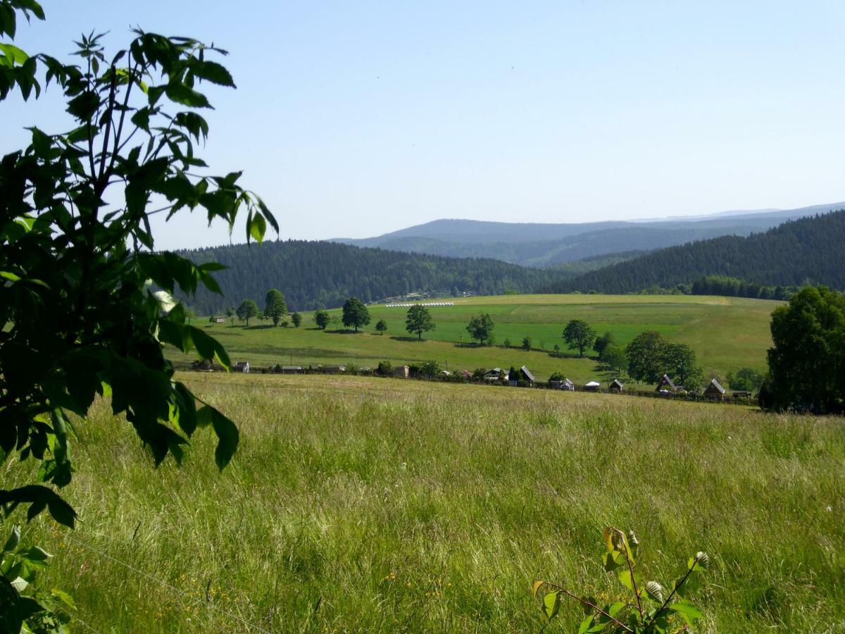 Ferienwohnung Ott Auerbach  Zewnętrze zdjęcie